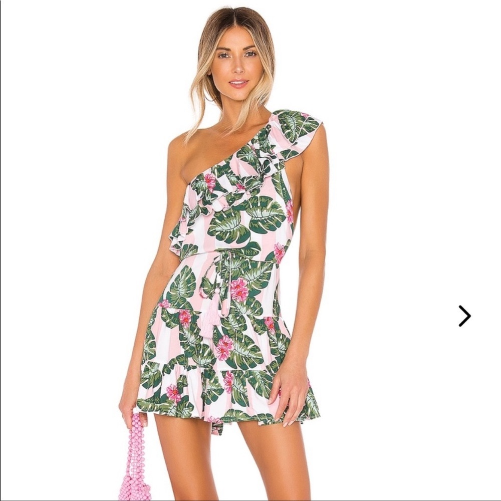 NWT Lovers + Friends Amity Pink Palm Tropical Dress M